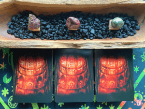 Elizabeth April March 2024 Oracle Pull