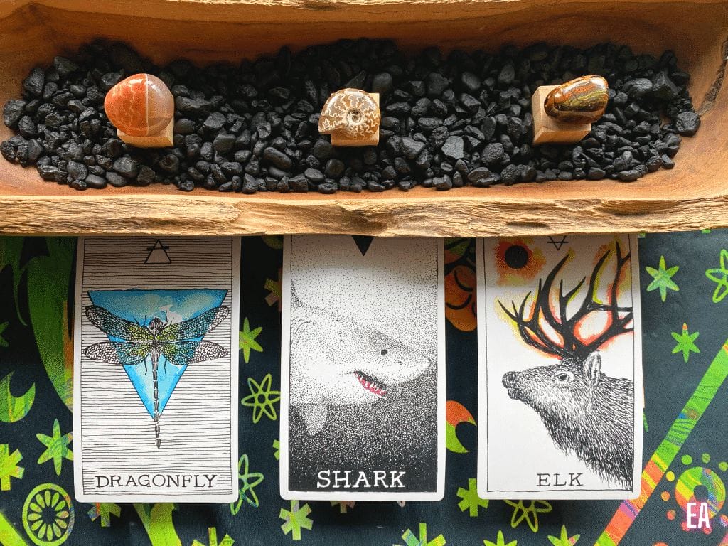 Elizabeth April October 2024 Oracle Reveal