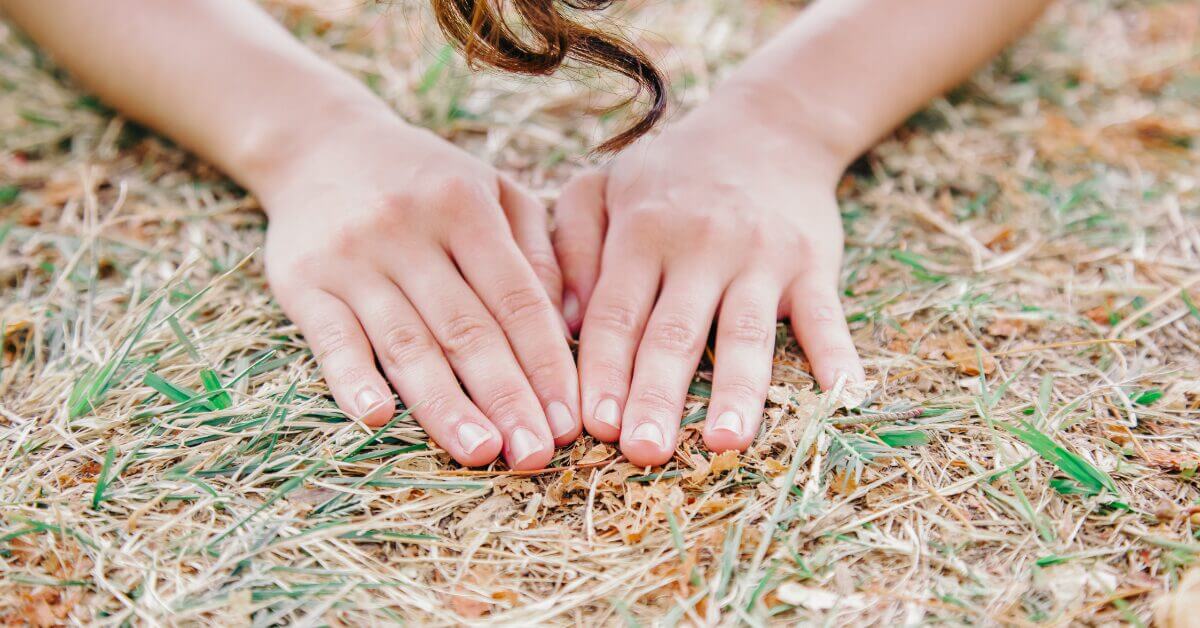 Elizabeth April Starseed Anxiety Your Most Asked Questions Answered Blog 2 2