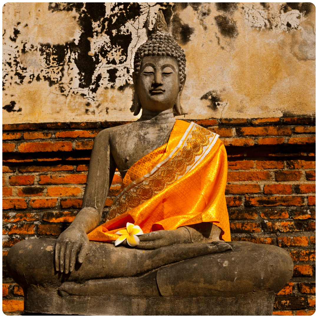 ELIZABETH APRIL ASIA CARD