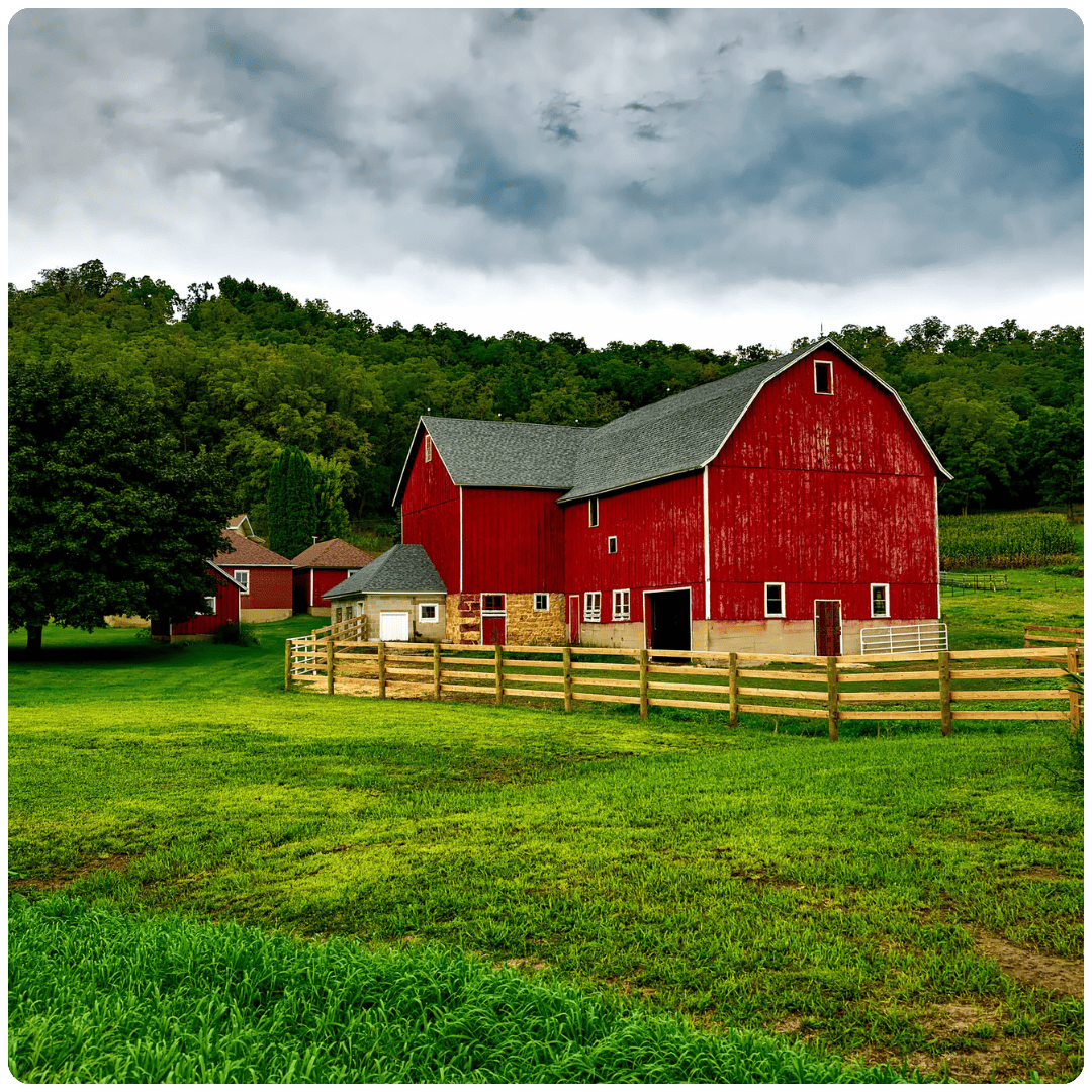 ELIZABETH APRIL FARM CARD