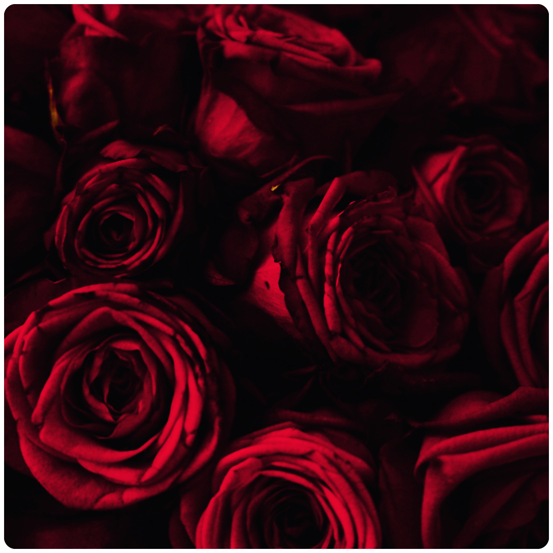 ELIZABETH APRIL LOVE LIFE CARD