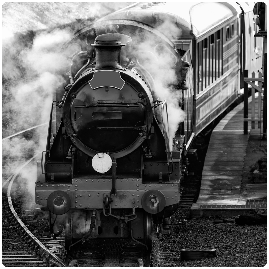 ELIZABETH APRIL TRANSPORTATION CARD